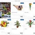 01 Promoções-Descontos-40595.jpg